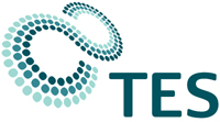 TES Group Logo
