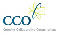 CCO (Int) Ltd Logo