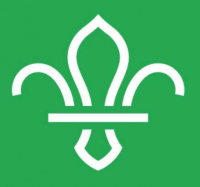 The Scout Association Logo