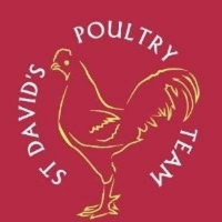 St David's Poultry Team Logo