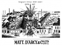 Matthew D’Arcy & Company Limited Logo