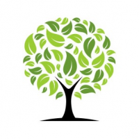 CMD Ground & Tree Services Logo